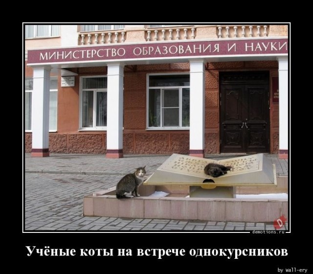 Демотиваторы дня: «Хорошо выспалась…»  