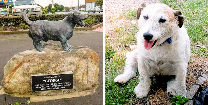 Иногда кажется, что у нас внутри панцирь — ничем не пронять... воспитание,Дети,Жизнь,Истории,проблемы
