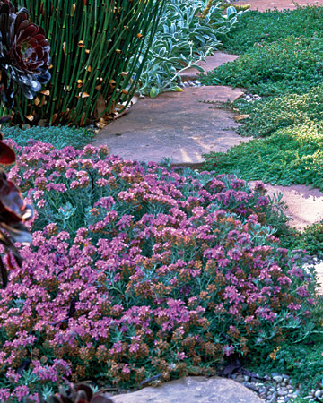 wild-garden-inspiration-flowers6.jpg wild-garden-inspiration-flowers6.jpg