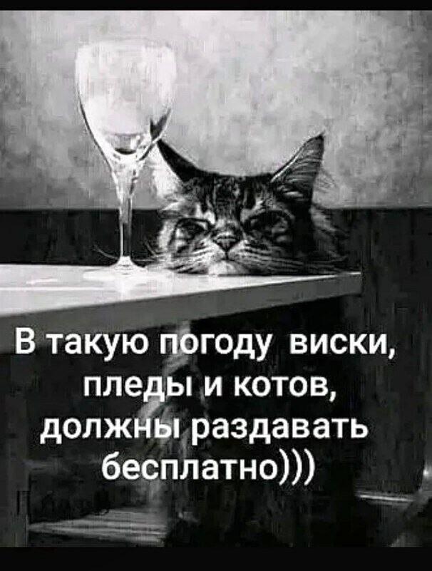 Сидит, значится, один мужик, рыбачит. Час сидит, два... Весёлые,прикольные и забавные фотки и картинки,А так же анекдоты и приятное общение