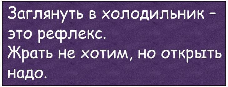 Смешные истории и анекдоты. Все для настроения 