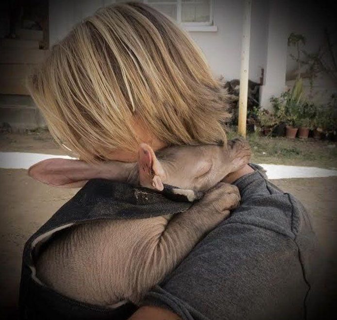 spasenie-detenysha-muraveda-10