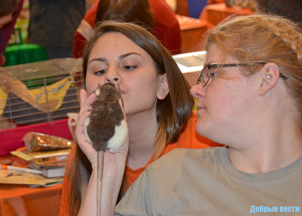 Высокие отношения