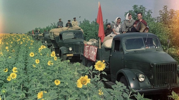 12 фотографий из архива журнала «Огонек», запечатлевшие тружеников СССР