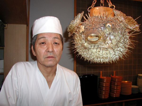 Рыба фугу: великая и ужасная. Фугу, Япония, длиннопост