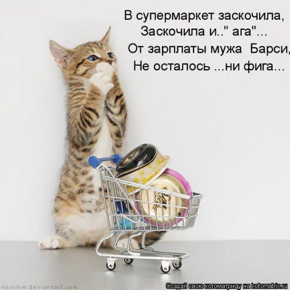 Уфф!!! Ну наконец-то! Котоматрицы великолепные, каждая с улыбкой, позитивом и хорошим настроением!