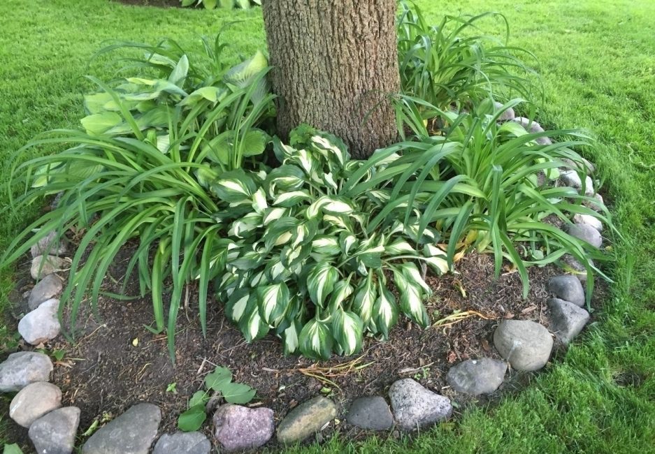 Ландшафтный дизайн вашего участка своими руками. Идеи для творческого вдохновения. handmake,поделки для сада,полезные советы,разное