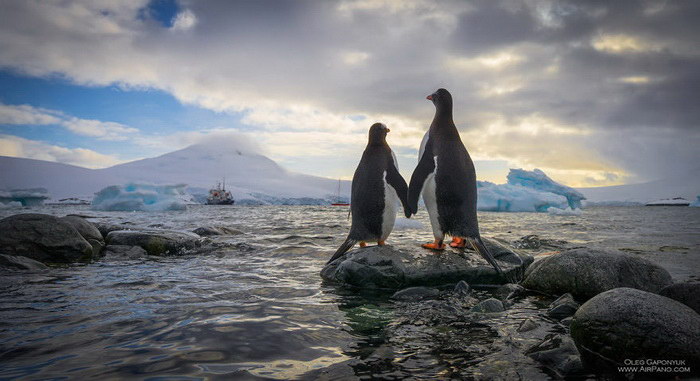Загадочная Антарктида: фотографии AirPano антарктида, airpano