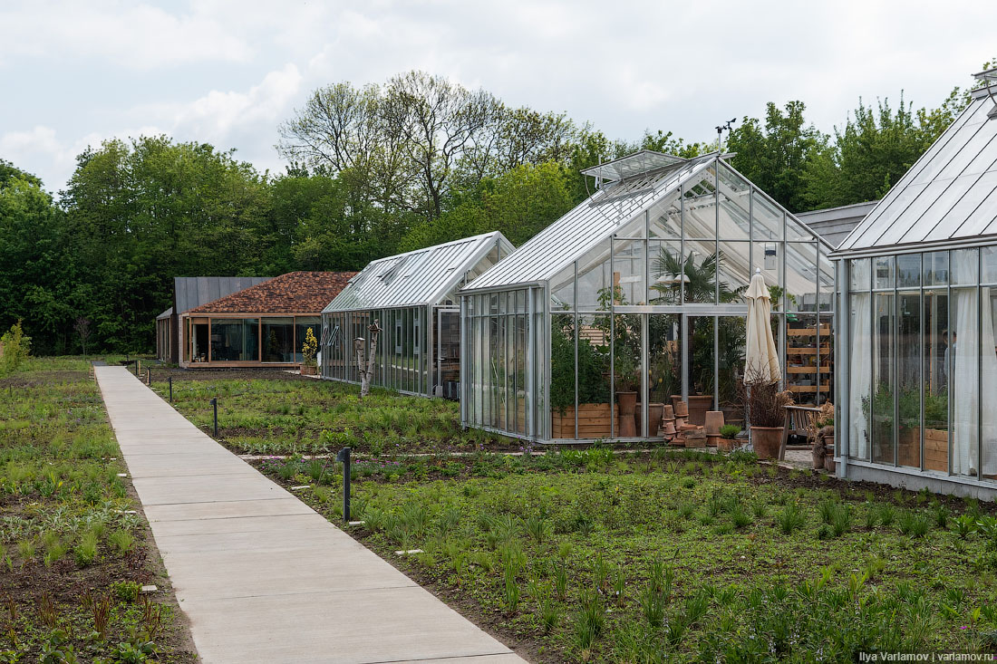 Лучший ресторан мира: рыбий пузырь, муравьи и кожа в шоколаде Лучший ресторан мира: рыбий пузырь, муравьи и кожа в шоколаде мир,страны,туризм