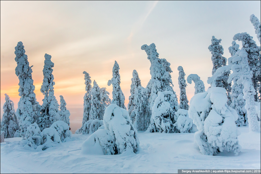 Зима в Лапландии / Winter in Lapland