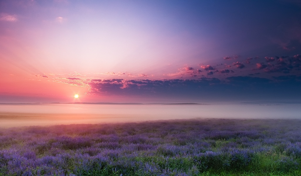 Подборка забавных и прикольных картинок с фотографиями красивые фотографии,прикольные картинки,шикарные фотографии