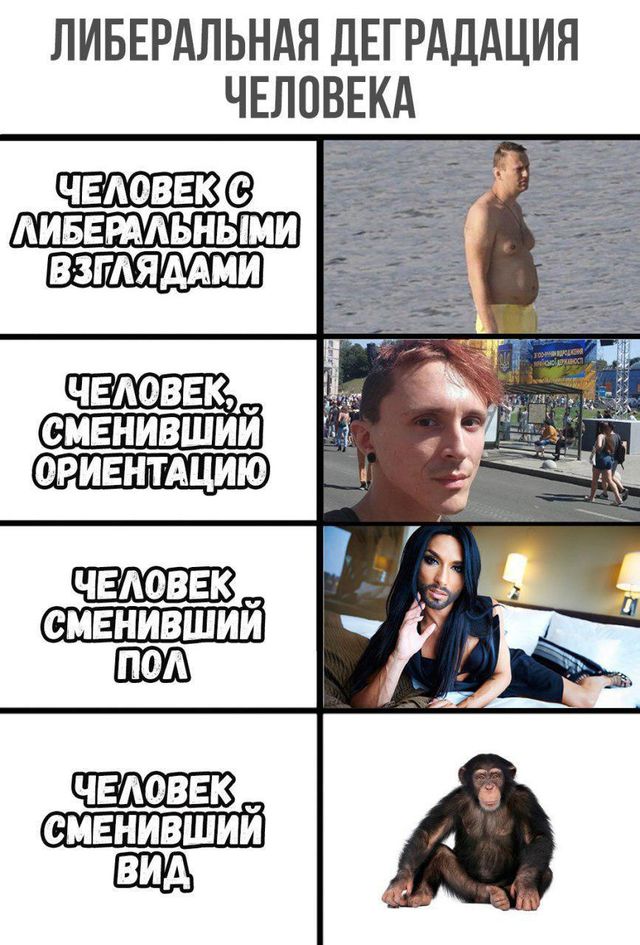 Женщины деградировали. Деградированная женщина. Шутки про ориентацию. Деградация. Человечество деградирует.