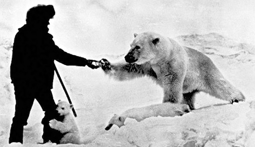 Редко кто из полярников способен удержаться от общения с аборигенами (снимок 1978 г.). Это и приводит к трагедиям. Фото с сайта piqz.com