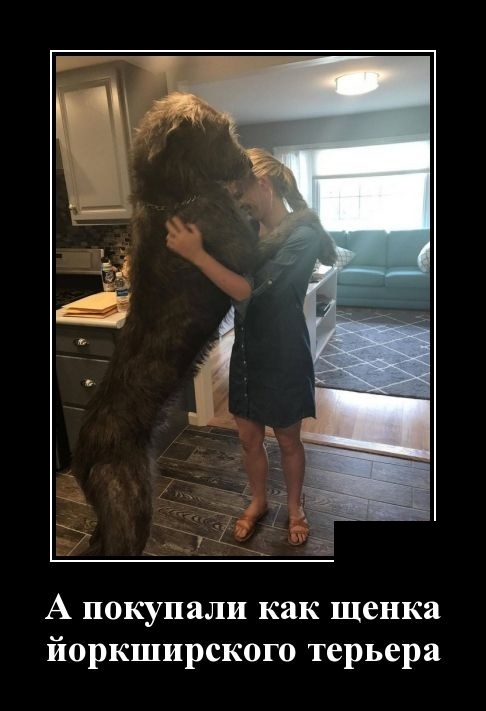 Демотиваторы на 12 февраля Демотиваторы на 12 февраля