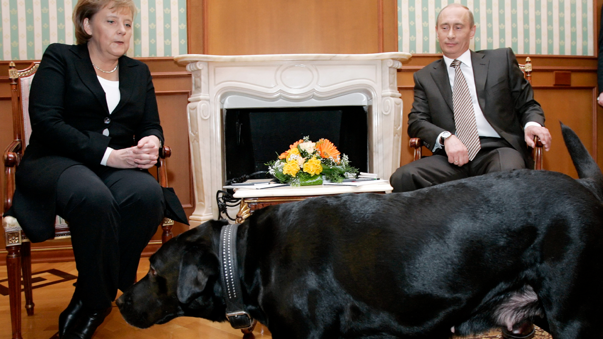Merkel Putin Dog