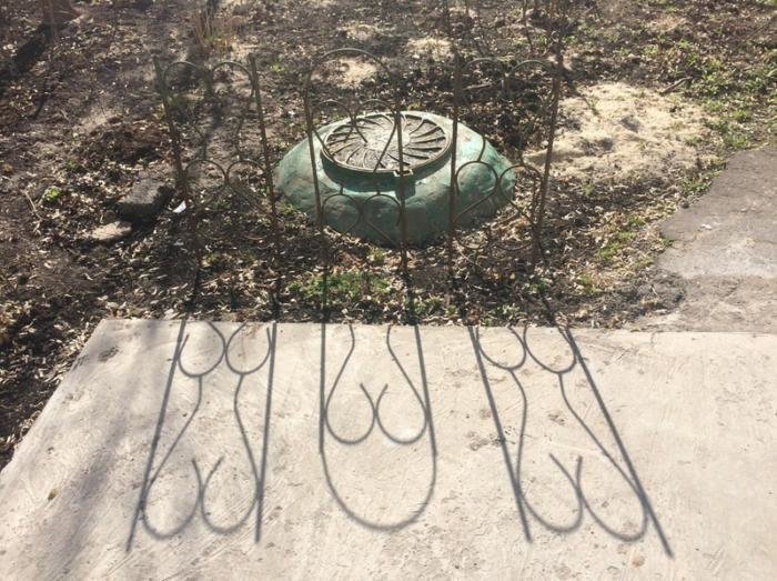 Фотография: 30 фото забавных теней, которые похожи на что-то другое №4 - BigPicture.ru