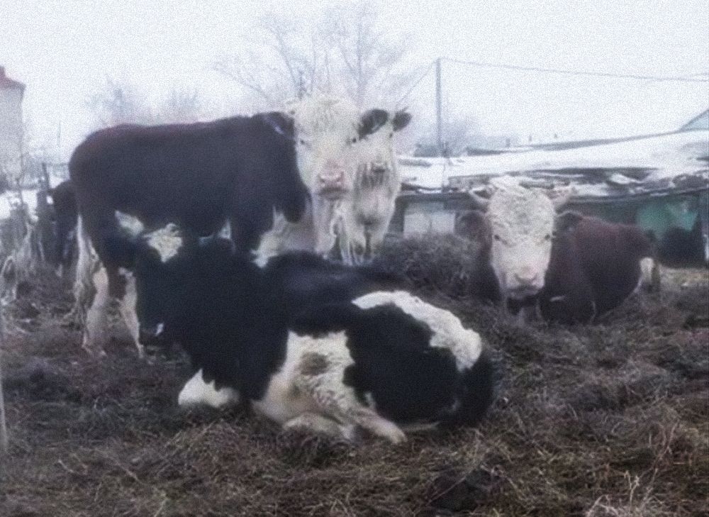  из открытых источников