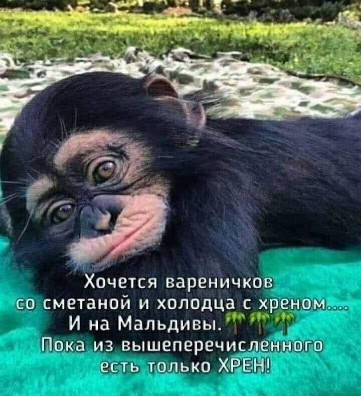 Юмор из интернета 673 Юмор из интернета 673 позитив,смех,улыбки,юмор