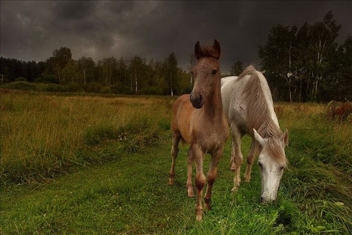 Природа России в фотографиях Игоря Денисова Природа России в фотографиях Игоря Денисова