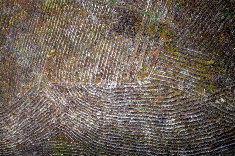 Красочные фотографии о том, насколько волшебна осень в Польше Европа,природа,Путешествия,фото