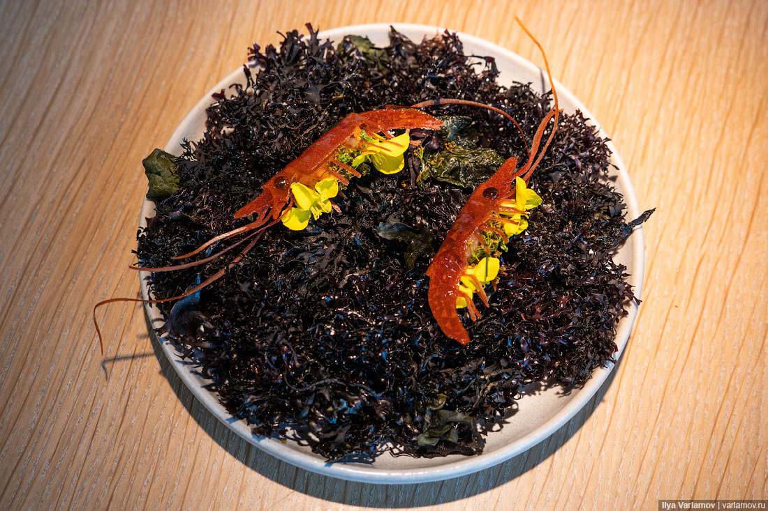 Лучший ресторан мира: рыбий пузырь, муравьи и кожа в шоколаде Лучший ресторан мира: рыбий пузырь, муравьи и кожа в шоколаде мир,страны,туризм