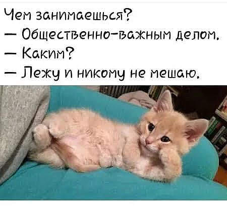 - Вася! Как ты попал в больницу? - Понимаешь, иду я по улице...