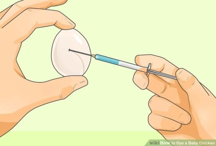 цветные кролики и цыплята 