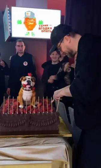 «Ягодка опять»: Как Гарик Харламов отпраздновал 45-летие с женой и звёздами Comedy Club