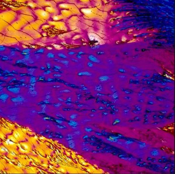 Алкоголь под микроскопом алкоголь,интереснное,микрофотографии