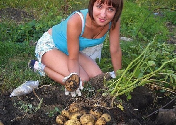 Есть женщины в русских селеньях. Про тех, кому мужики не нужны Есть женщины в русских селеньях. Про тех, кому мужики не нужны