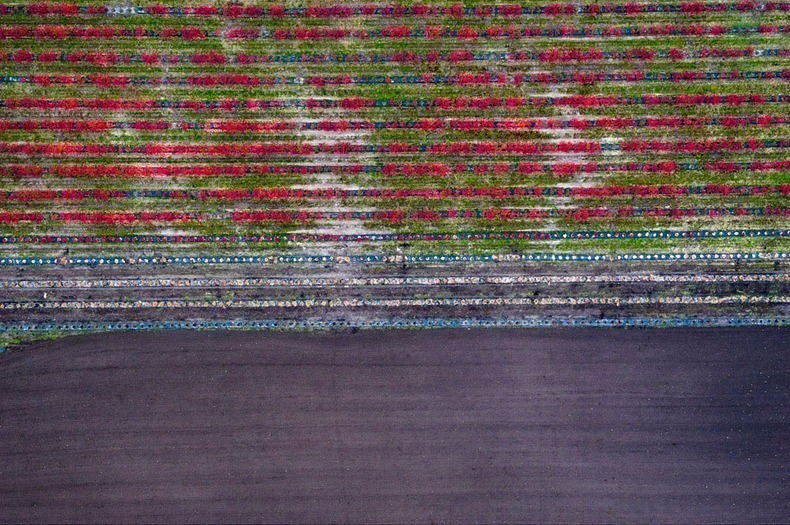 Красочные фотографии о том, насколько волшебна осень в Польше Европа,природа,Путешествия,фото