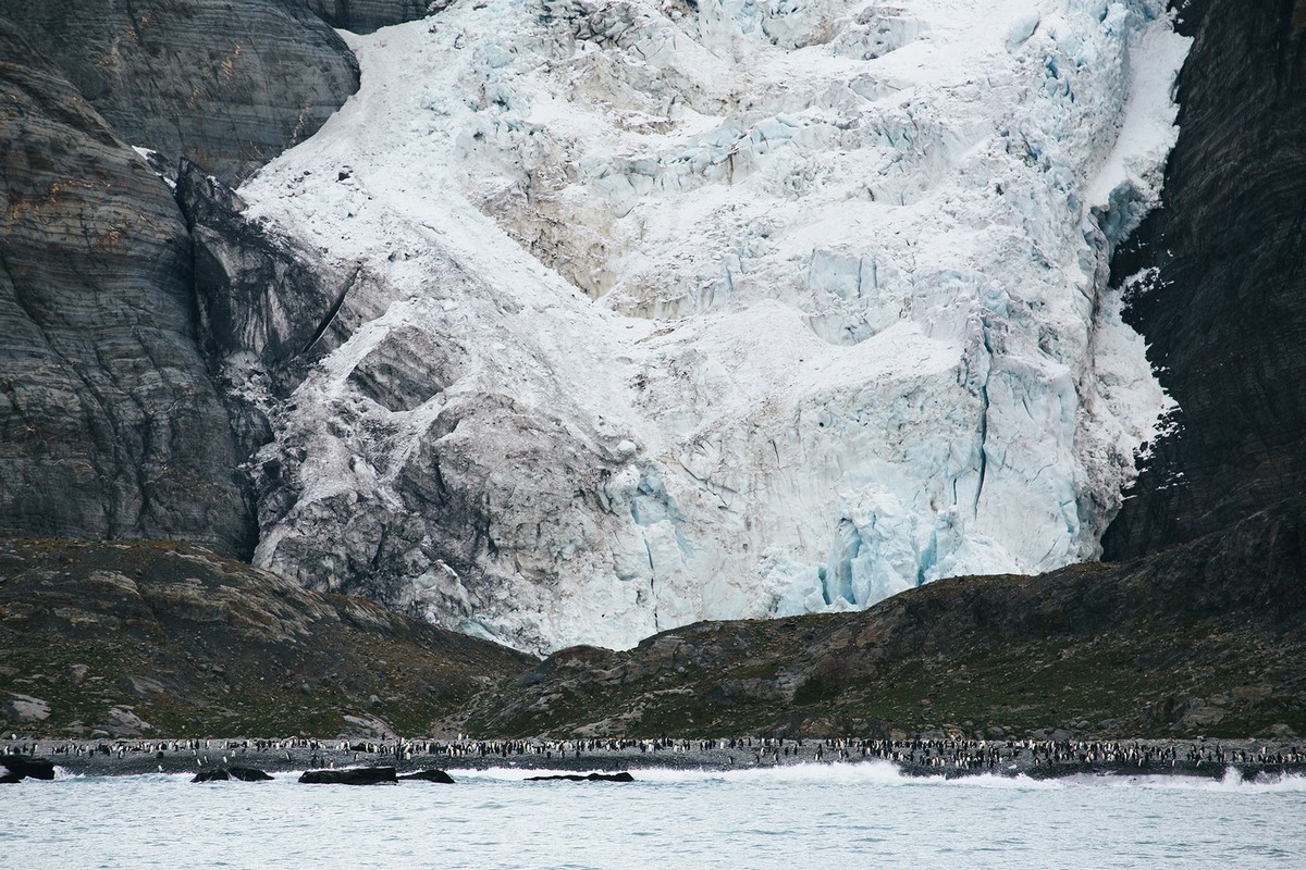 Арктика и Антарктика на удивительных снимках Джона Бозинова чтобы, Джона, много, всегда, полярный, привела, Бозинов, природе, дикой, фотографии, пейзажной, фотограф, можно, снимки, iPhone, красоты, сделанные, любовь, около, природу