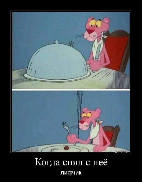 Прикольные демотиваторы для хорошего настроения 