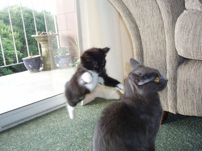 5218894_1_5_ (700x525, 74Kb)