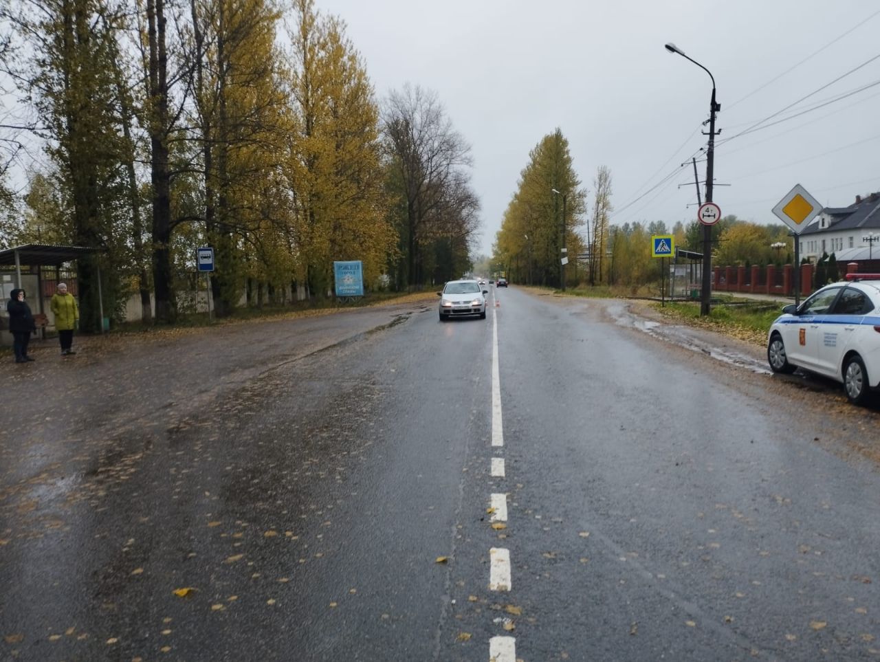 В Тверской области водитель поздно заметила пешехода на переходе
