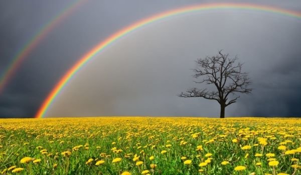 Кто такие альтруисты? 