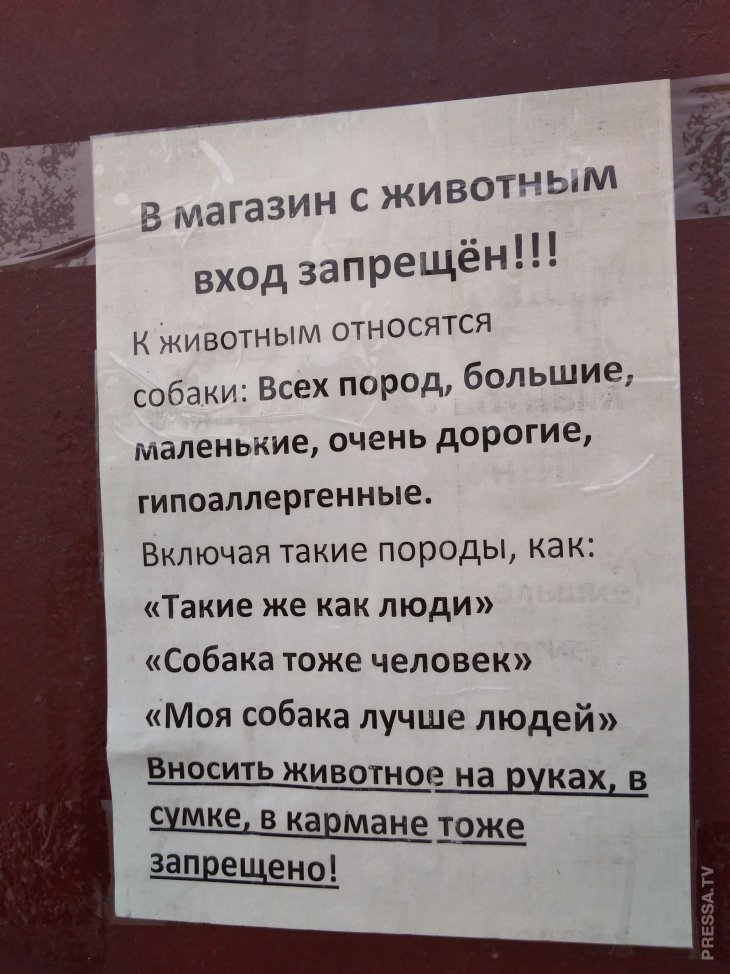 Смешные объявления и реклама Смешные объявления и реклама