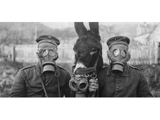 Молекулы свободы уже близко