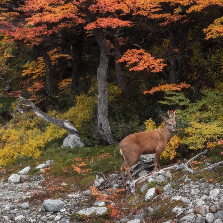 Планета Земля в объективе Вадима Гвона Планета Земля в объективе Вадима Гвона путешествие,турист,Фотография,фототревел