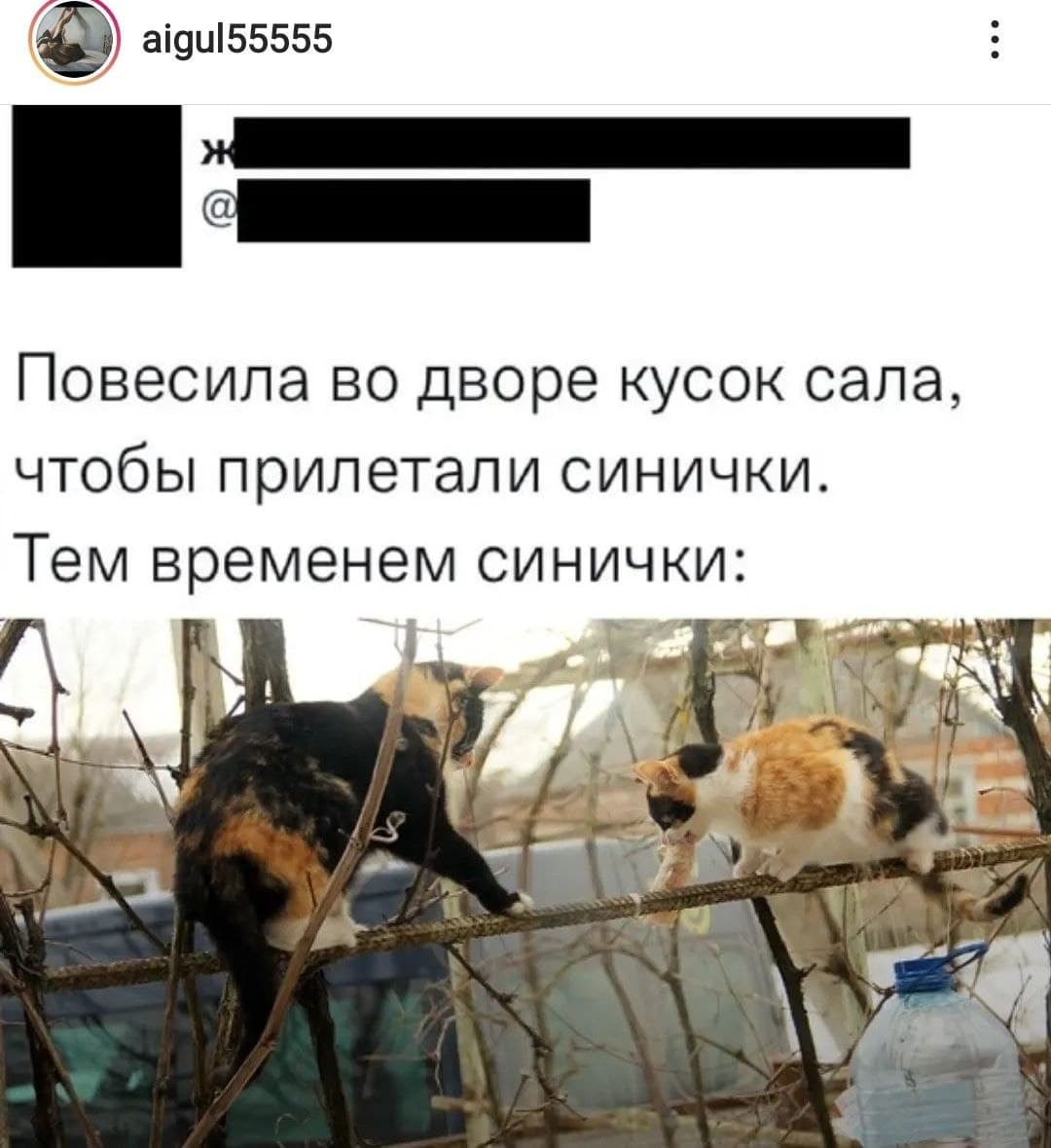 Юмор из интернета 702 позитив,смех,улыбки,юмор