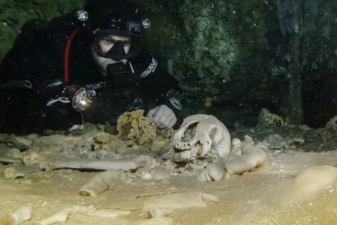 В подводной пещере нашли артефакты, которым 9 тысяч лет пещера, более, использовалась, исследования, пещер, дайверы, обнаружили, артефактов, период Система, ленивцы, времениГигантские, срезом, настоящим, оказалось, время, ледниковый, планеты, медведи, существ, следы