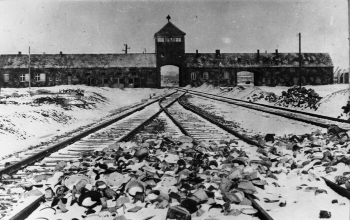 Вид на лагерь Аушвиц-Биркенау, 1945 г. / https://truthaboutcamps.eu
