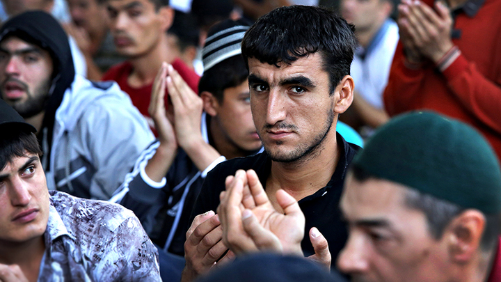 "МИГРАНТЫ, МИГРАНТЫ, КРУГОМ ОДНИ МИГРАНТЫ": СОЦИАЛЬНАЯ БОЛЕЗНЬ ПРОГРЕССИРУЕТ