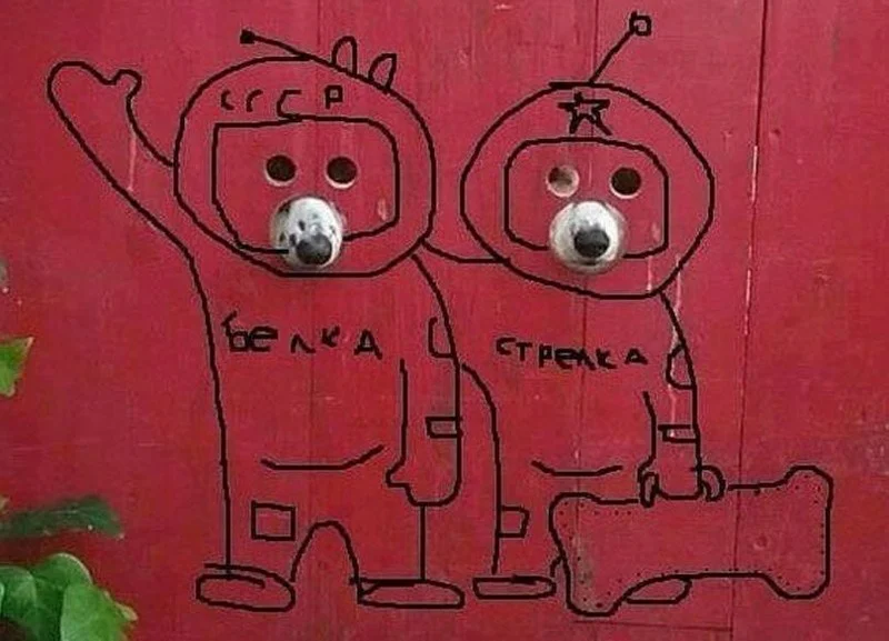 Юмор