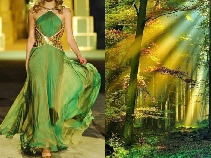  ???Fashion & Nature?