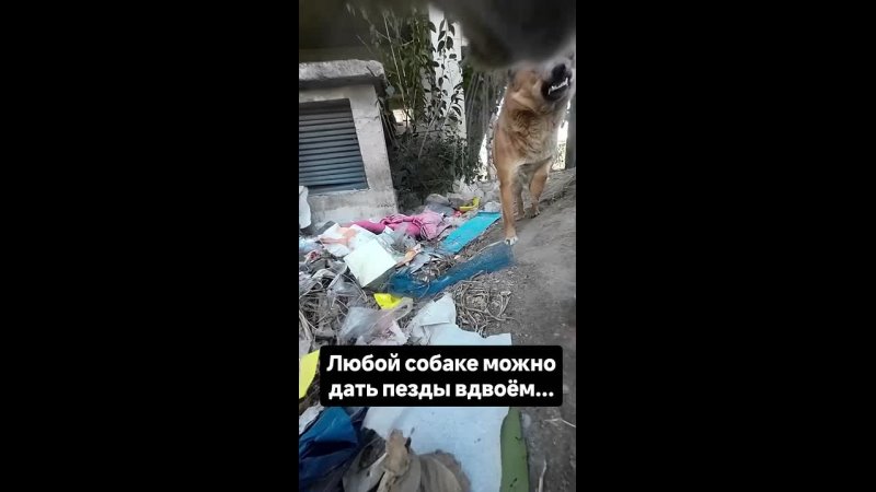 Video: Видео от Донецкая группа новостей|Донецк.ДНР