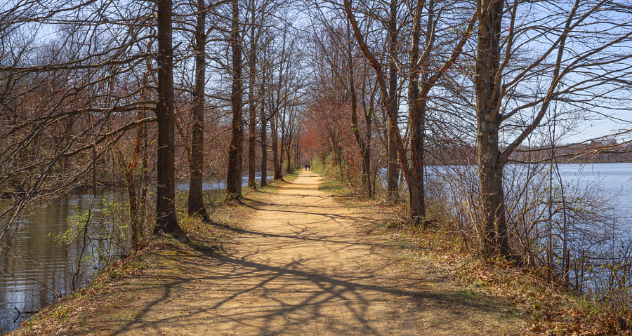 Spring walk by Galina G on 500px.com