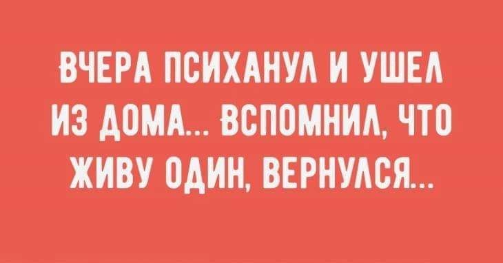 Люди нередко интересуются, где я черпаю вдохновение... весёлые