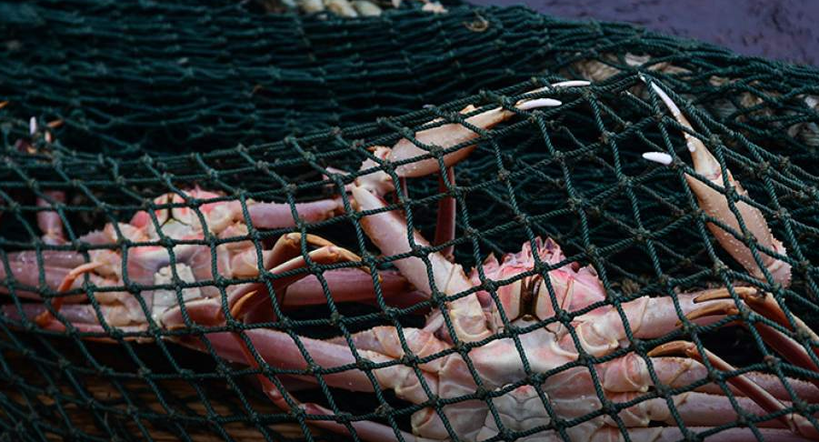 Компании в рыбопромышленном секторе Дальнего Востока могут столкнуться с национализацией своих активов в результате судебных исков, поданных Генеральной прокуратурой.-4