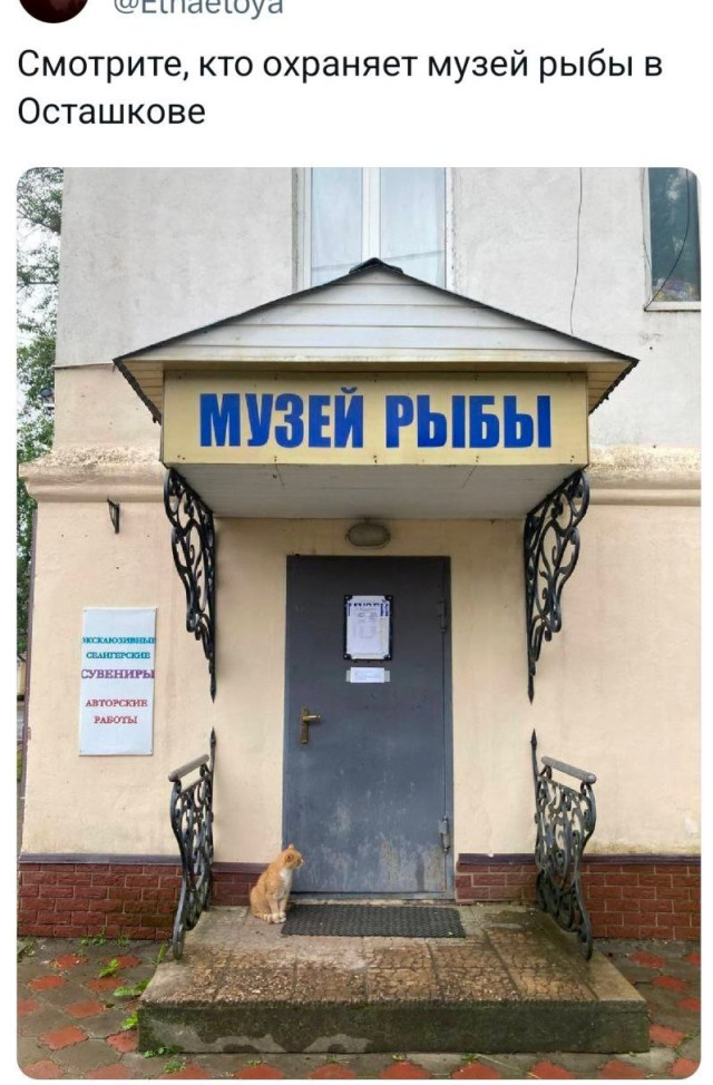 Прикольные твиты: «Оказывается, если прикольно проводить время…» 